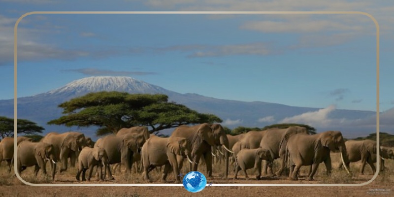 Meilleurs safaris africains au départ de Dubaï